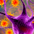Other Herpes Viruses: What You Need to Know