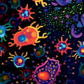 Immune System Improvement: A Comprehensive Overview