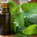 Essential Oils for Herpes: Natural Remedies and Treatments