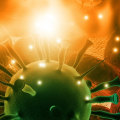 Understanding Roseolovirus Infection