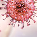 A Comprehensive Overview of Cytomegalovirus (CMV) Infection