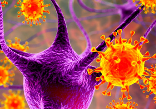 Other Herpes Viruses: What You Need to Know