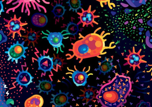 Immune System Improvement: A Comprehensive Overview