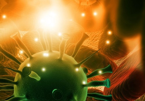 Understanding Roseolovirus Infection